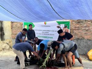 Iduladha 1446 H, PWI Riau Sembelih 5 Sapi dan 2 Kambing